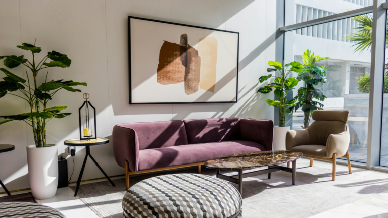 Fabric sofa with freshly cleaned upholstery in a modern living room