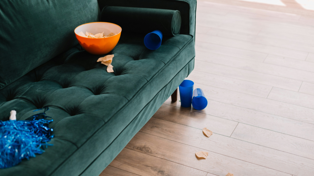 Food spill on a fabric sofa cushion before stain removal