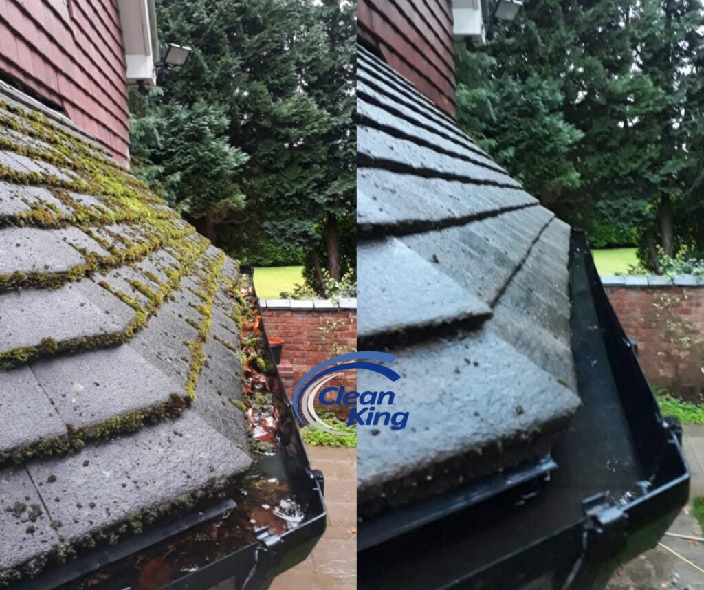 Before & After Gutter Cleaning