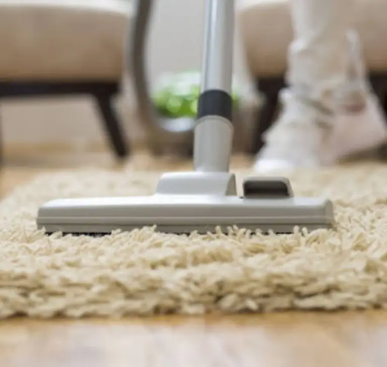 Why Professional Carpet Cleaning Services Matter During Flu Season